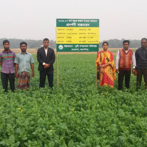 মৌসুম, রবি/ ২০১৬-১৭